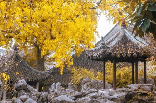 Addiction at first sight, addiction at second sight | List of 8 "toxic" cities in China
