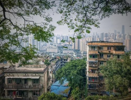The main city of Chongqing has 5 classic walking trails suitable for all ages, so you don't have to worry about going out for weekend!