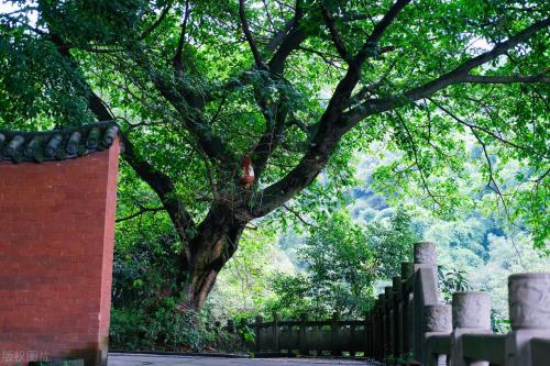The main city of Chongqing has 5 classic walking trails suitable for all ages, so you don't have to worry about going out for weekend!