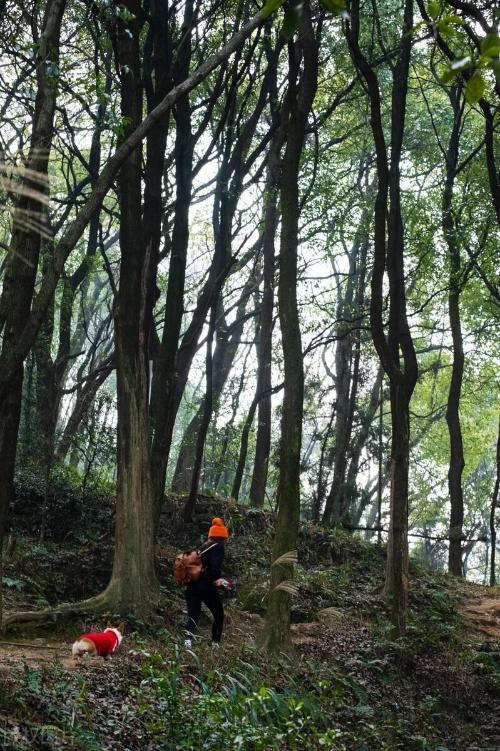 The main city of Chongqing has 5 classic walking trails suitable for all ages, so you don't have to worry about going out for weekend!