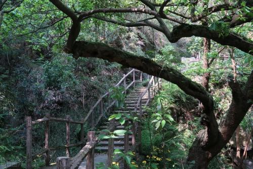 The main city of Chongqing has 5 classic walking trails suitable for all ages, so you don't have to worry about going out for weekend!