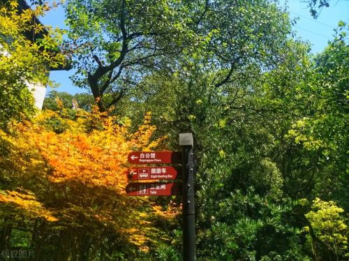 The main city of Chongqing has 5 classic walking trails suitable for all ages, so you don't have to worry about going out for weekend!