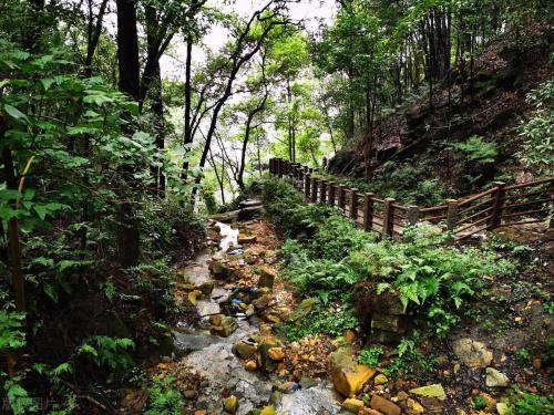 The main city of Chongqing has 5 classic walking trails suitable for all ages, so you don't have to worry about going out for weekend!