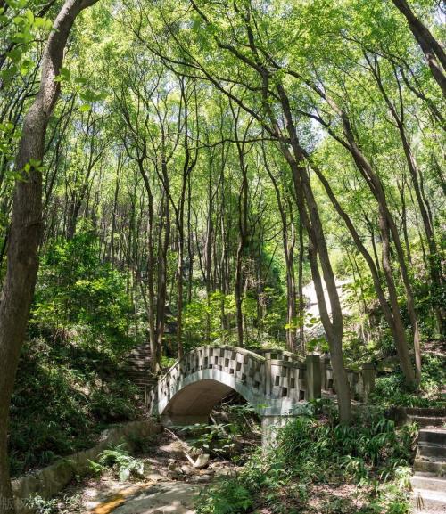 The main city of Chongqing has 5 classic walking trails suitable for all ages, so you don't have to worry about going out for weekend!