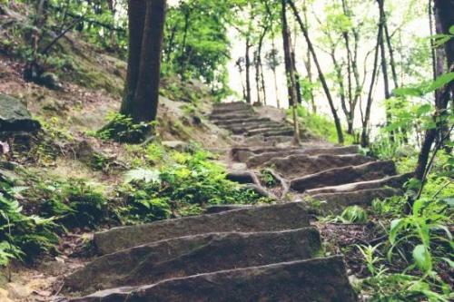 The main city of Chongqing has 5 classic walking trails suitable for all ages, so you don't have to worry about going out for weekend!