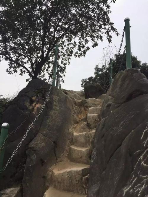 The main city of Chongqing has 5 classic walking trails suitable for all ages, so you don't have to worry about going out for weekend!