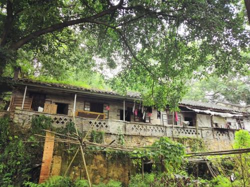 The main city of Chongqing has 5 classic walking trails suitable for all ages, so you don't have to worry about going out for weekend!