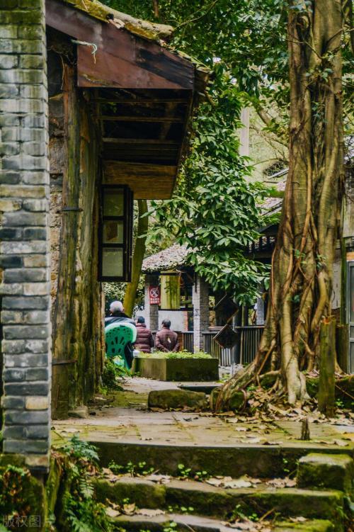 The main city of Chongqing has 5 classic walking trails suitable for all ages, so you don't have to worry about going out for weekend!