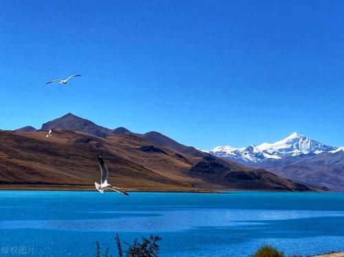 Travel list for 2023 | After reading Song of Plateau, I want to go to Tibet again!