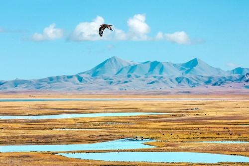 Travel list for 2023 | After reading Song of Plateau, I want to go to Tibet again!