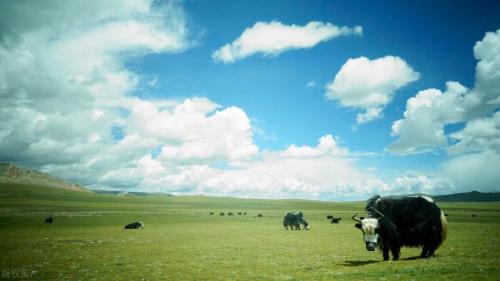 Travel list for 2023 | After reading Song of Plateau, I want to go to Tibet again!