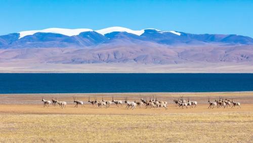 Travel list for 2023 | After reading Song of Plateau, I want to go to Tibet again!