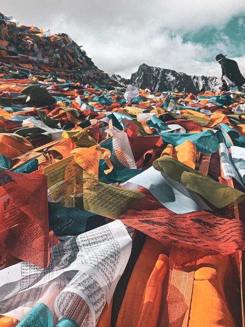 Travel list for 2023 | After reading Song of Plateau, I want to go to Tibet again!