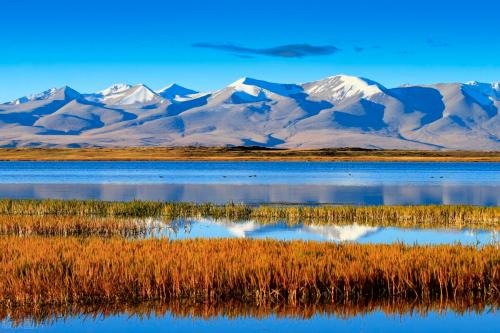 Travel list for 2023 | After reading Song of Plateau, I want to go to Tibet again!