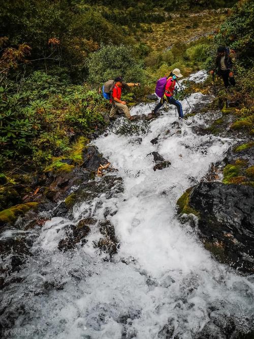 How to play Meili Snow Mountain? You are recommended 4 classic walking routes in the fresh air, it is recommended to bookmark!