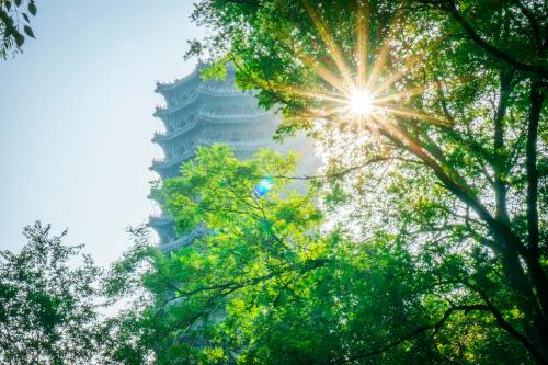 Comparable to a level 5A scenic spot! Is your alma mater one of 10 most beautiful universities in China?