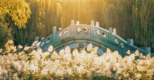 Comparable to a level 5A scenic spot! Is your alma mater one of 10 most beautiful universities in China?