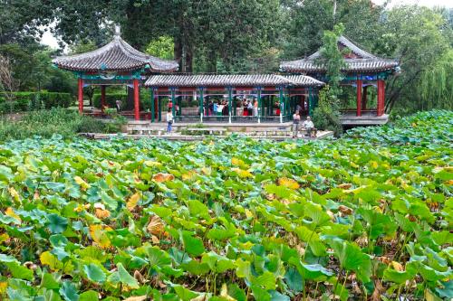 Comparable to a level 5A scenic spot! Is your alma mater one of 10 most beautiful universities in China?
