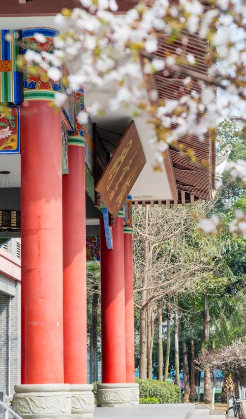 Comparable to a level 5A scenic spot! Is your alma mater one of 10 most beautiful universities in China?