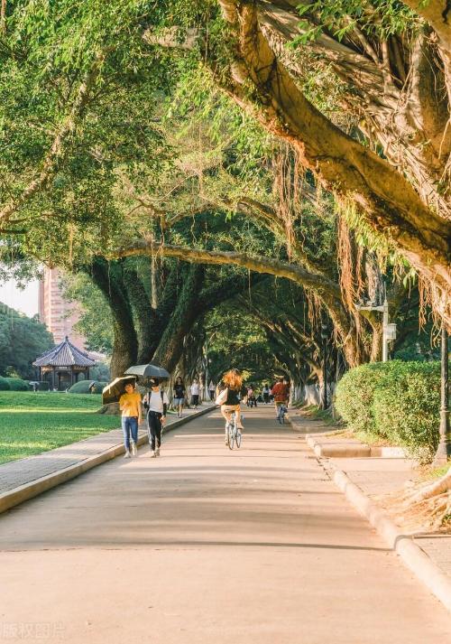 Comparable to a level 5A scenic spot! Is your alma mater one of 10 most beautiful universities in China?