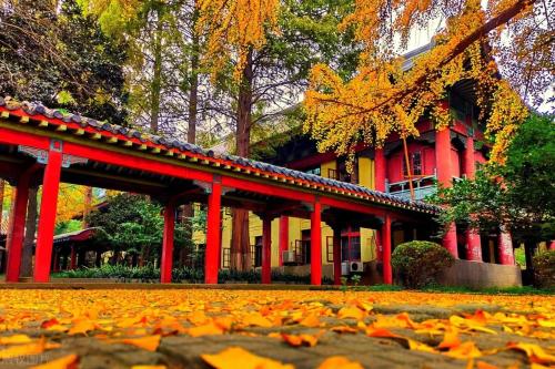 Comparable to a level 5A scenic spot! Is your alma mater one of 10 most beautiful universities in China?