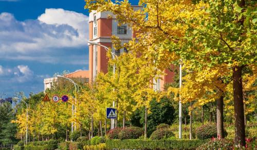 Comparable to a level 5A scenic spot! Is your alma mater one of 10 most beautiful universities in China?
