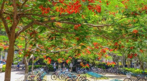 Comparable to a level 5A scenic spot! Is your alma mater one of 10 most beautiful universities in China?