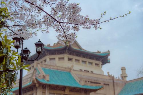 Comparable to a level 5A scenic spot! Is your alma mater one of 10 most beautiful universities in China?