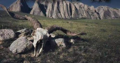 Non-professionals do not enter! Check out 8 appalling travel restrictions in China
