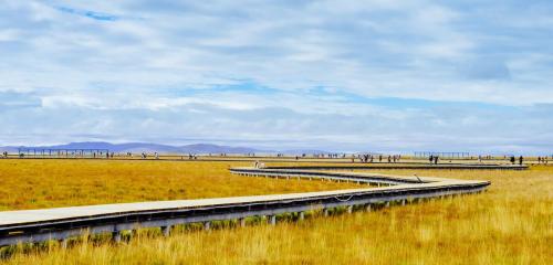 Self-propelled raiders of Western Sichuan|If poetry, if painting, Ruoergai! A place comparable to the Hulunbuir prairie!

