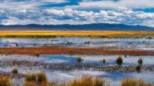 Self-propelled raiders of Western Sichuan|If poetry, if painting, Ruoergai! A place comparable to the Hulunbuir prairie!
