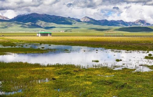 Self-propelled raiders of Western Sichuan|If poetry, if painting, Ruoergai! A place comparable to the Hulunbuir prairie!
