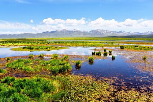 Self-propelled raiders of Western Sichuan|If poetry, if painting, Ruoergai! A place comparable to the Hulunbuir prairie!
