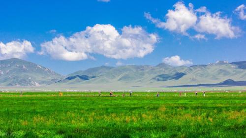 Self-propelled raiders of Western Sichuan|If poetry, if painting, Ruoergai! A place comparable to the Hulunbuir prairie!
