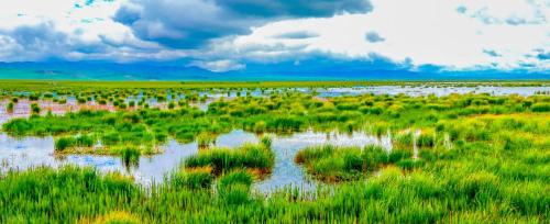 Self-propelled raiders of Western Sichuan|If poetry, if painting, Ruoergai! A place comparable to the Hulunbuir prairie!
