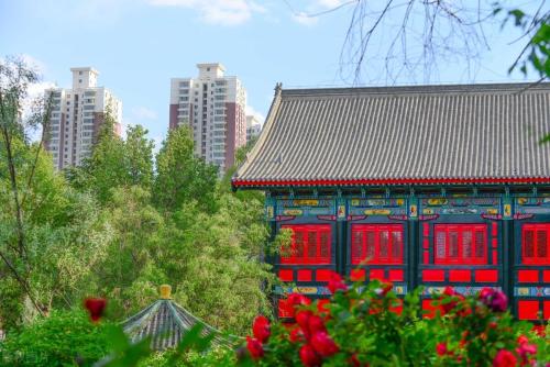 [Favorites] Complete Guide to Lanzhou|Endless Flow of Yellow River, Endless Taste of Northwest!
