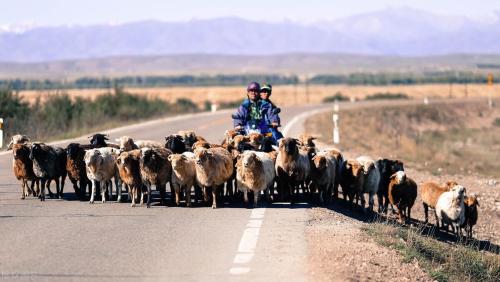 Must ride in this life|The 5 most beautiful roads in China, you must pass them one by one without regret!

