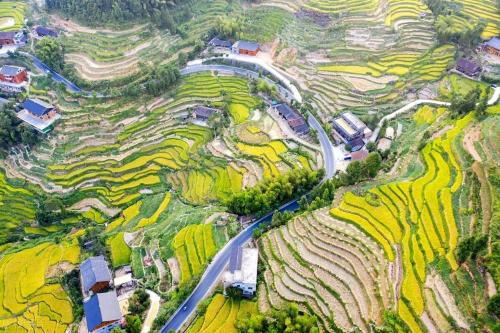 Travel on Shanghai-Kunming High-Speed ​​Railway|Take Shanghai-Kunming High-Speed ​​Railway, let's meet beautiful scenery and delicious food along way!
