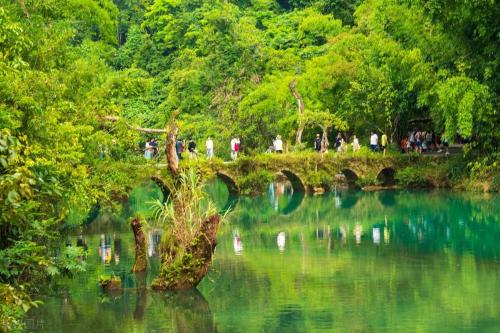 Travel on Shanghai-Kunming High-Speed Railway|Take Shanghai-Kunming High-Speed Railway, let's meet beautiful scenery and delicious food along way!