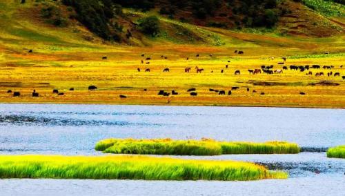 Travel on Shanghai-Kunming High-Speed Railway|Take Shanghai-Kunming High-Speed Railway, let's meet beautiful scenery and delicious food along way!