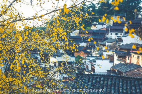 6 beautiful old towns that you must visit in this life, if you are tired, go and stay for a few days~