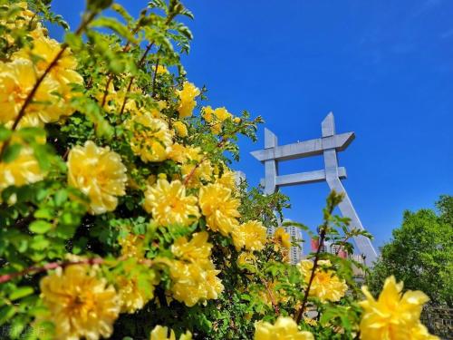 5 Chinese cities suitable for retirement When we are old...