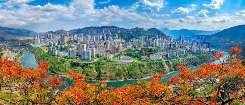 gather! An ultra-complete guide to Panzhihua, the only city in China named after a flower!

