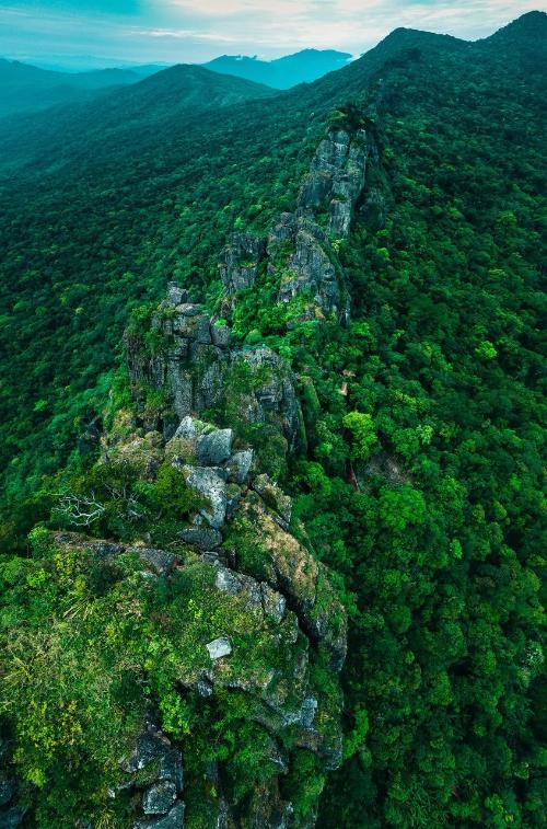 gather! An ultra-complete guide to Panzhihua, the only city in China named after a flower!
