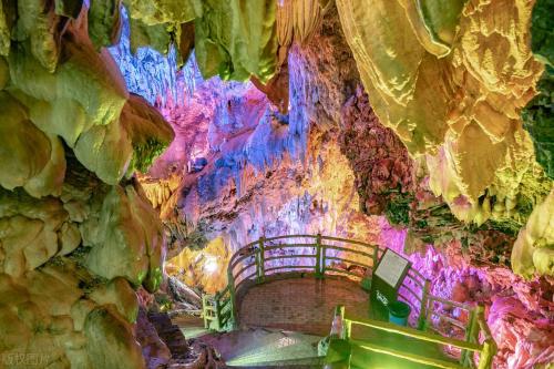 gather! An ultra-complete guide to Panzhihua, the only city in China named after a flower!
