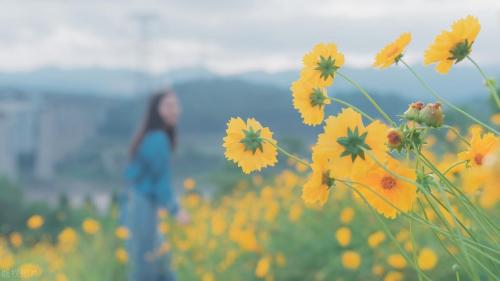 During a spring walk | Marine Spring Flowers Mode is about to open, so save this Chongqing Flower Appreciation Guide until spring!
