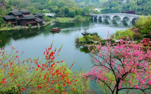 During a spring walk | Marine Spring Flowers Mode is about to open, so save this Chongqing Flower Appreciation Guide until spring!
