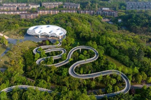 During a spring walk | Marine Spring Flowers Mode is about to open, so save this Chongqing Flower Appreciation Guide until spring!
