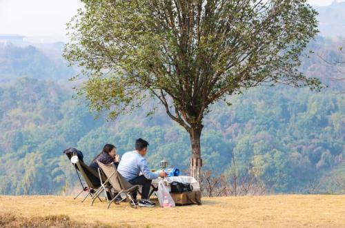 Spring walk in Chongqing continues | Yuelai Jiangwan Qingshui Trail, a pleasant walk along Jialing River!
