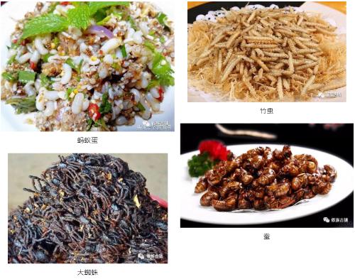 Yunnan on Tip of Your Tongue|Experience Incredible Delicacies, Manshi Gourmet Guide!